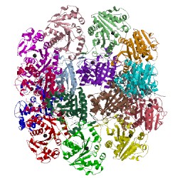 Image of CATH 3la6