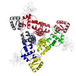 Image of CATH 3lap