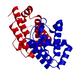 Image of CATH 3lb2