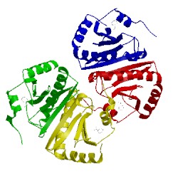 Image of CATH 3lb5
