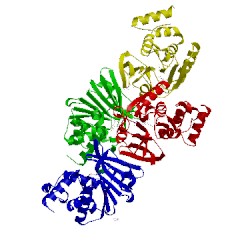 Image of CATH 3lbf