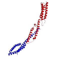 Image of CATH 3lbx