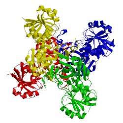 Image of CATH 3lc1