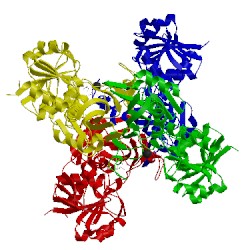 Image of CATH 3lc2