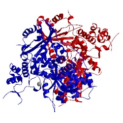 Image of CATH 3lc6