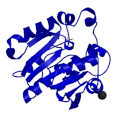 Image of CATH 3lcc