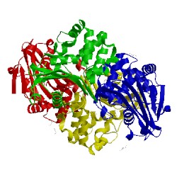 Image of CATH 3lce