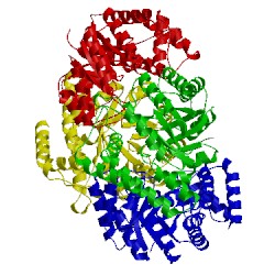 Image of CATH 3lci