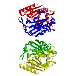 Image of CATH 3lcm