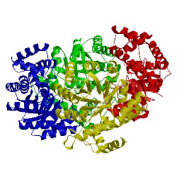 Image of CATH 3lcw