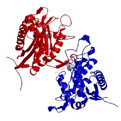 Image of CATH 3lea