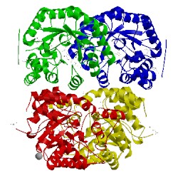 Image of CATH 3ler