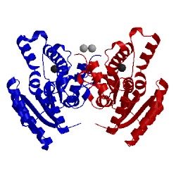 Image of CATH 3lf1