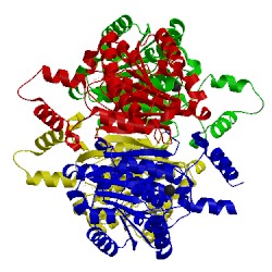 Image of CATH 3lf2