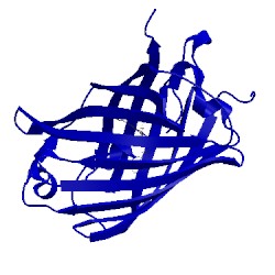 Image of CATH 3lf3