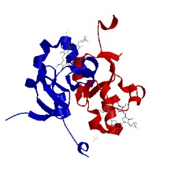 Image of CATH 3lf5