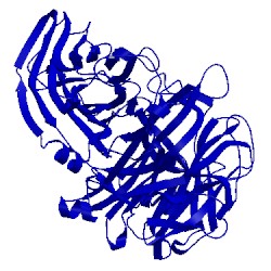Image of CATH 3lf7