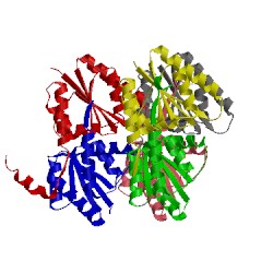 Image of CATH 3lfh