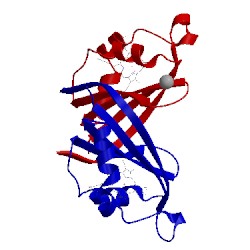 Image of CATH 3lgn