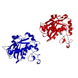 Image of CATH 3lgp