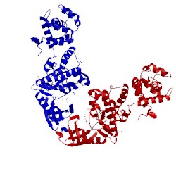 Image of CATH 3lj2