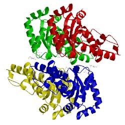 Image of CATH 3ljf