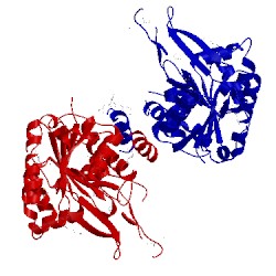 Image of CATH 3ljs