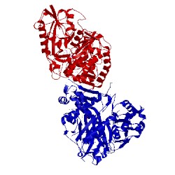Image of CATH 3ll3