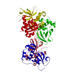 Image of CATH 3llr