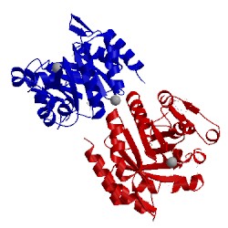 Image of CATH 3lm7