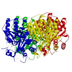 Image of CATH 3lma