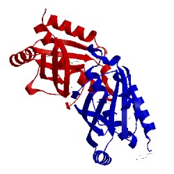 Image of CATH 3lmb