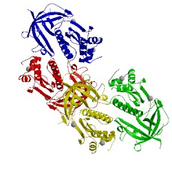 Image of CATH 3lmi