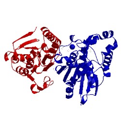 Image of CATH 3lnt