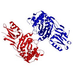 Image of CATH 3lo7