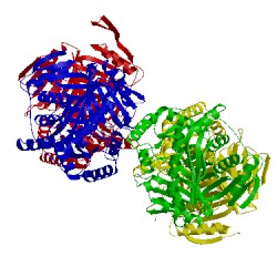 Image of CATH 3log