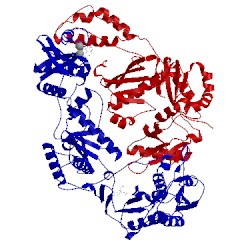 Image of CATH 3lp0