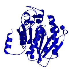 Image of CATH 3lp5