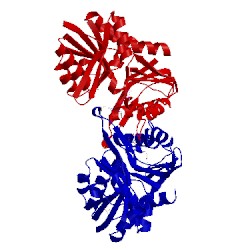 Image of CATH 3lpn