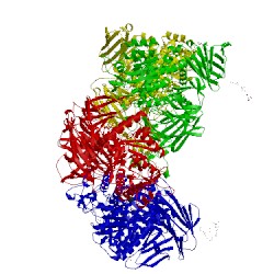 Image of CATH 3lpp