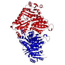 Image of CATH 3lq1