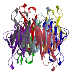 Image of CATH 3lrh