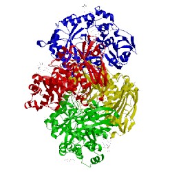 Image of CATH 3lrm