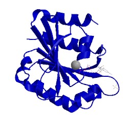 Image of CATH 3lrp