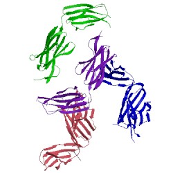 Image of CATH 3lrs