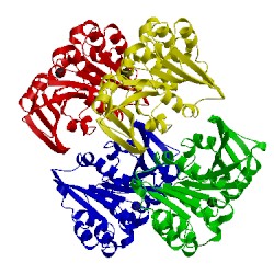 Image of CATH 3ls2