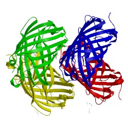Image of CATH 3lsa