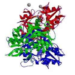 Image of CATH 3lsf