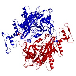 Image of CATH 3lsi