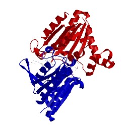 Image of CATH 3lt5